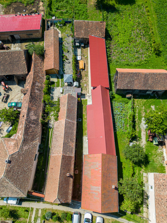 Casa de vânzare în Roșia - 1543 MP, 6 camere!