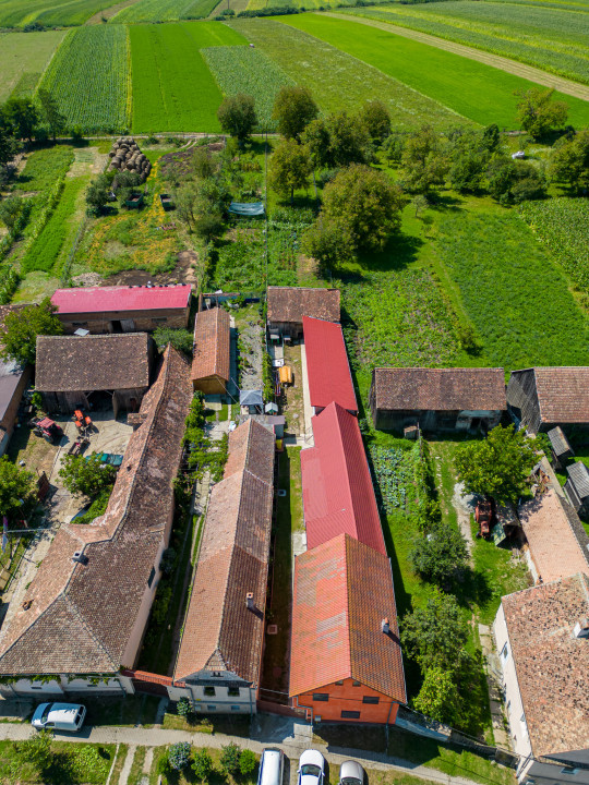 Casa de vânzare în Roșia - 1543 MP, 6 camere!