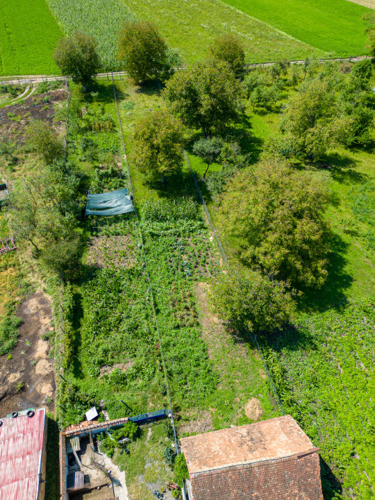 Casa de vânzare în Roșia - 1543 MP, 6 camere!