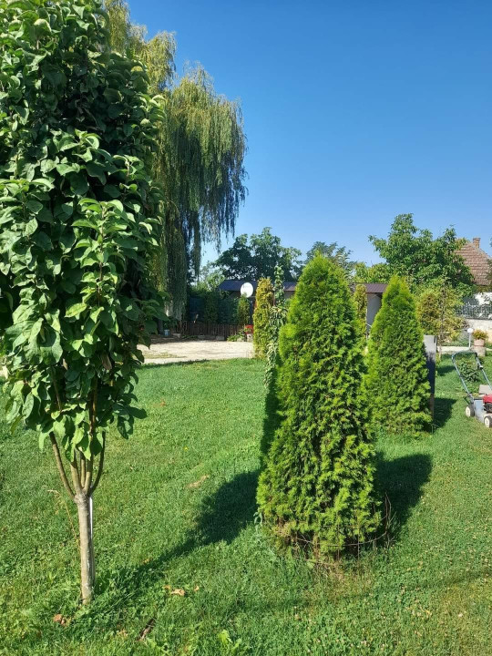 Pensiune cu 20 locuri de cazare, zona aeroport, Madaras, Satu Mare