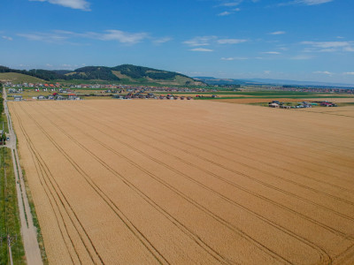 Teren Extravilan Sanpetru! Ideal pentru Investitie! - 9300 mp!