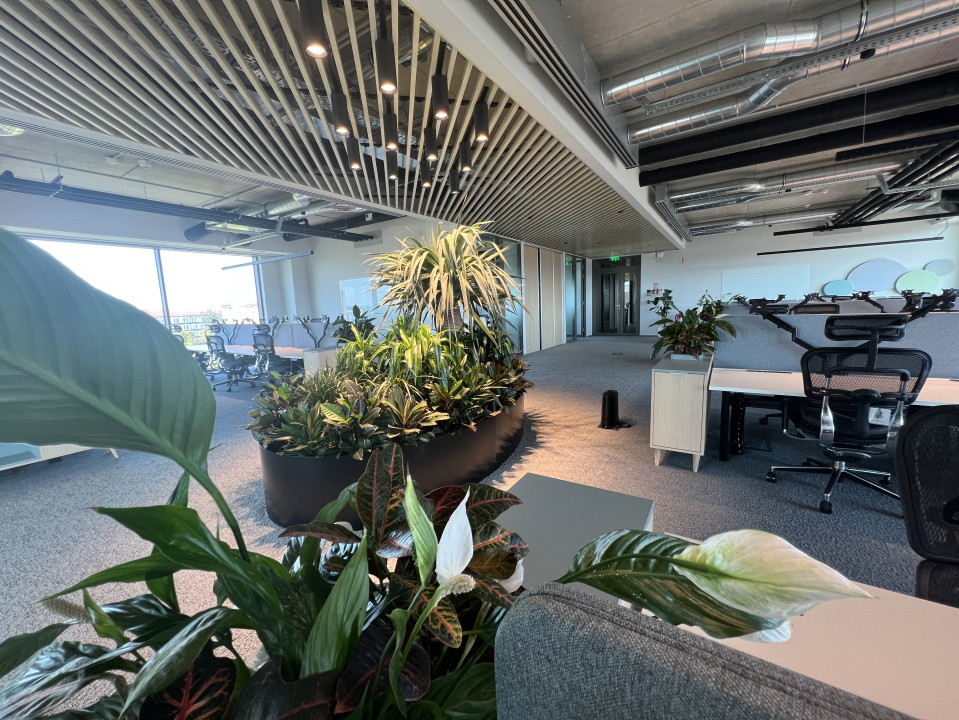 Birouri Premium | Design Futurist | Eficiență | Spații Verzi 