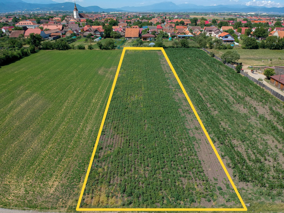 REZERVAT. Teren Generos de 3500 mp în Sânpetru – Ideal pentru Dezvoltare 