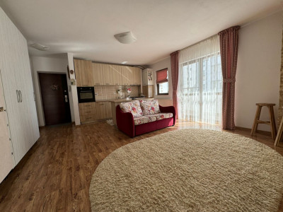 Apartament 2 camere - Doamna Stanca