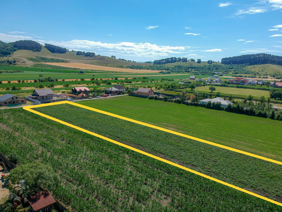 Teren de vanzare Sanpetru, intravilan - 3500 mp, COMISION 0%