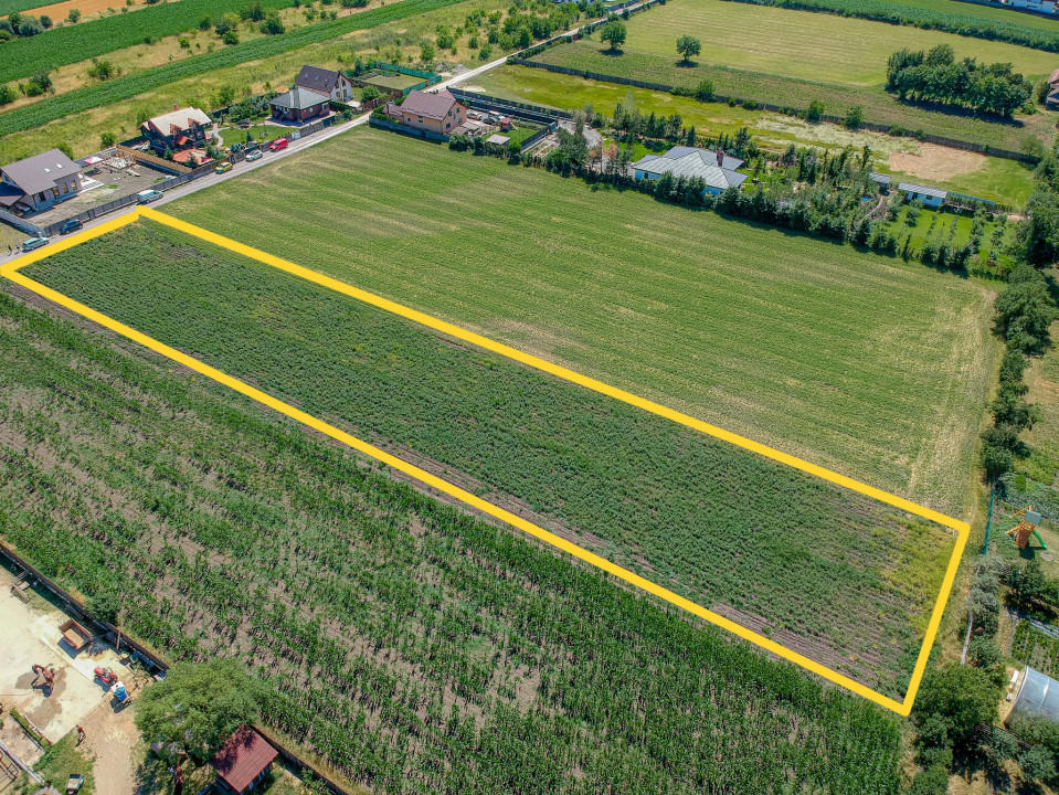 Teren de vanzare Sanpetru, intravilan - 3500 mp, COMISION 0%