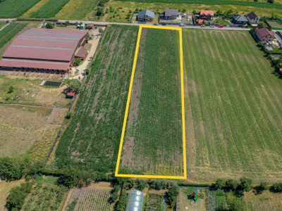 Teren de vanzare Sanpetru, intravilan - 3500 mp, COMISION 0%