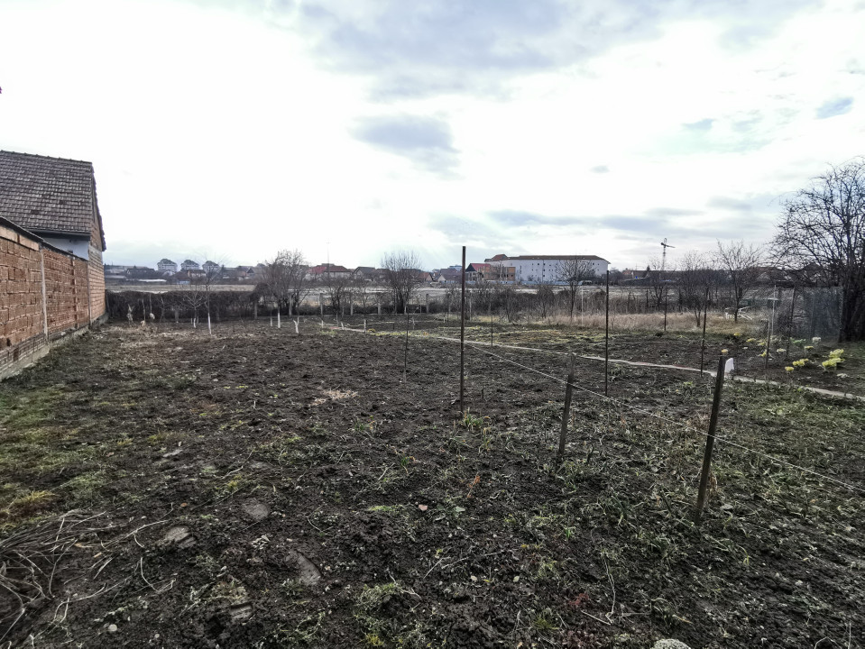 Teren Intravilan 582 mp – Ideal pentru Investiție sau Construcție