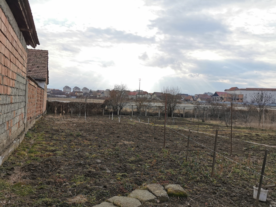 Teren Intravilan 582 mp – Ideal pentru Investiție sau Construcție