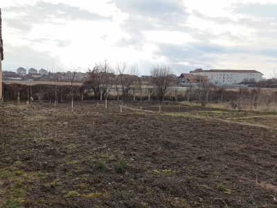Teren Intravilan 582 mp – Ideal pentru Investiție sau Construcție