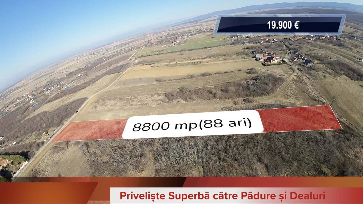 Teren Construcții Intravilan lângă Pădure în Viile Satu Mare 