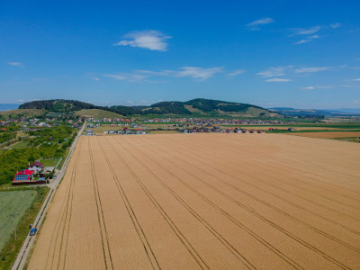 Teren de vanzare, Extravilan Sanpetru, potential dezvoltare -9300 mp COMISION 0%