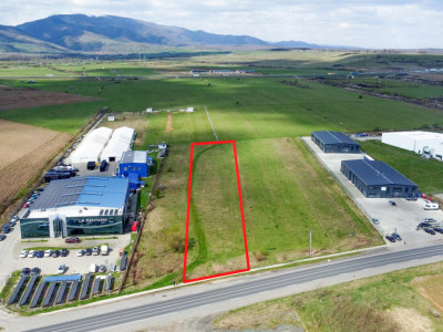 Oportunitate de Investiție sau Construcție Hală – Teren 3.900 mp | Tălmaciu