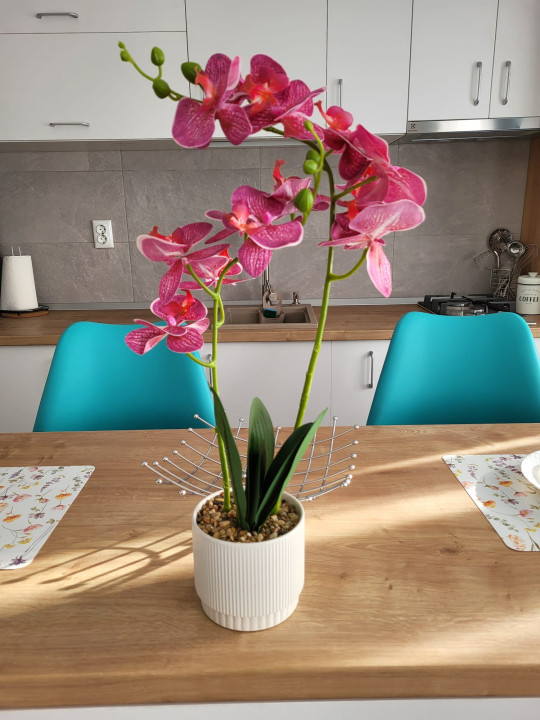 Chirie garsoniera noua, de lux, Happy 2