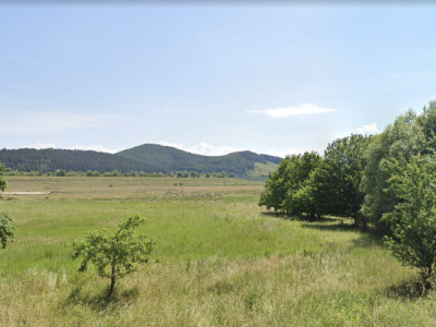 Teren–4.800 mp în Sânpetru, Activități comerciale, Spalatorie