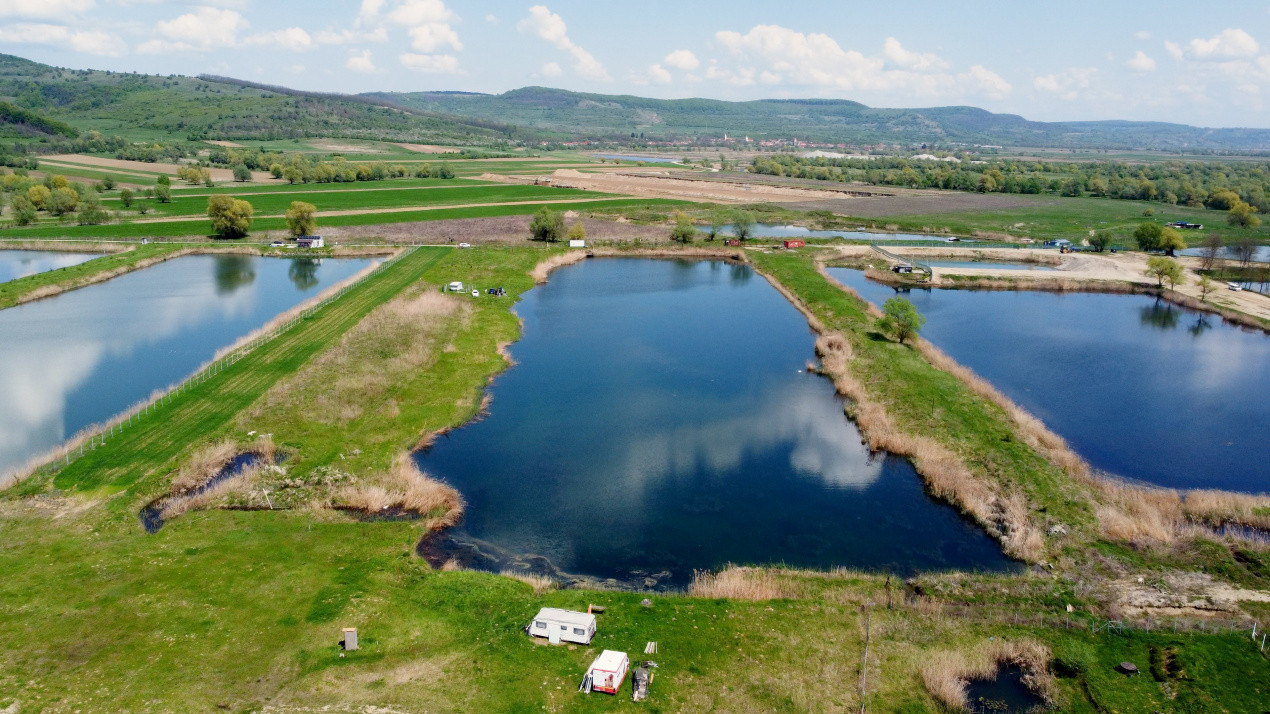Teren Extravilan cu lac – Investiție în Natură și Agrement | 35.251 mp