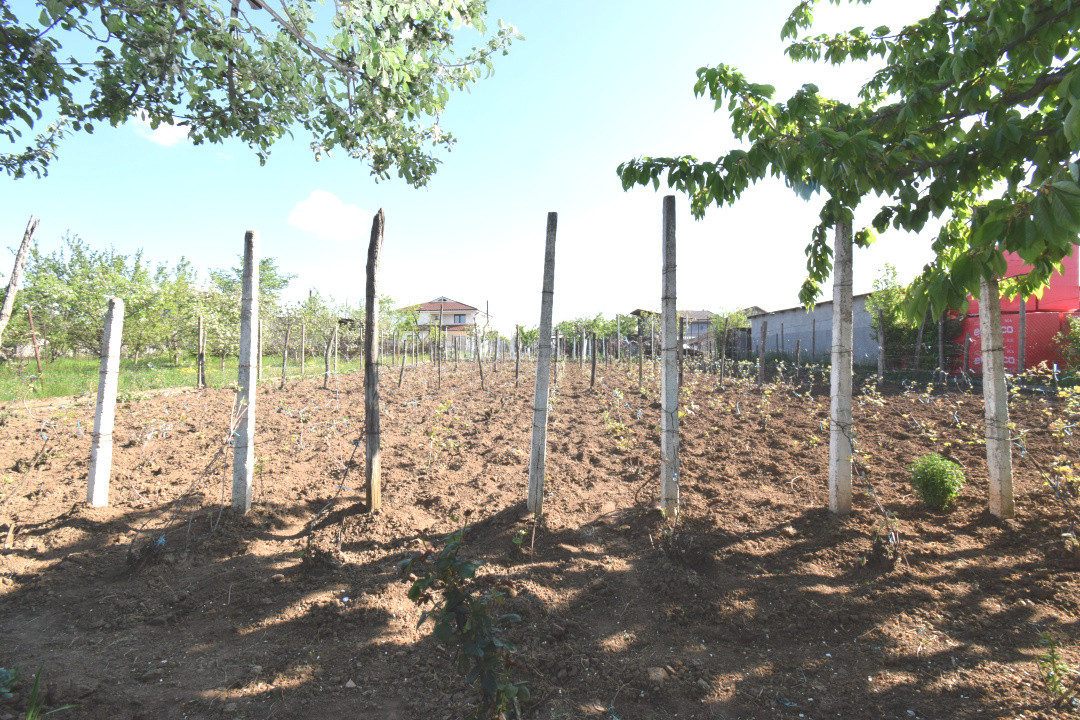 Casa Carcea si anexa,  teren 1077 mp toate utilitatile