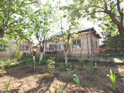 Casa Carcea si anexa,  teren 1077 mp, toate utilitatile