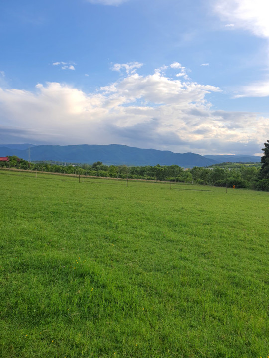 Teren intravilan, 1450 mp de vânzare în Cisnadie, zona Soma -Investiție ideală!