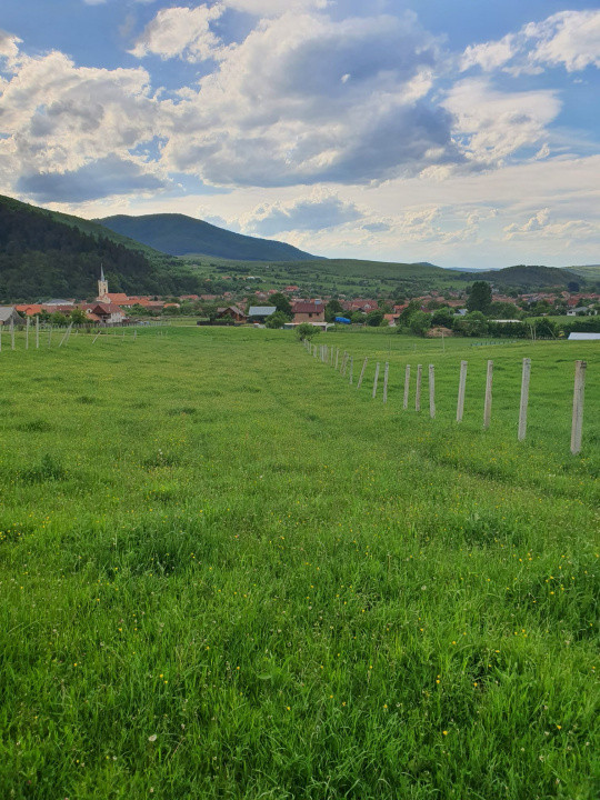 Teren cu peisaj spectaculos în Gura Râului – munte, aer curat, libertate