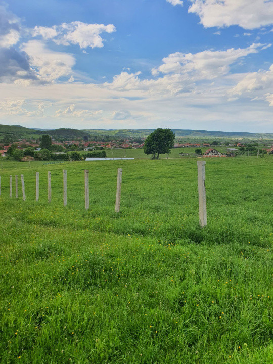 Teren cu peisaj spectaculos în Gura Râului – munte, aer curat, libertate