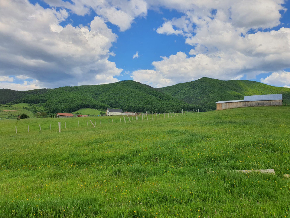 Teren cu peisaj spectaculos în Gura Râului – munte, aer curat, libertate