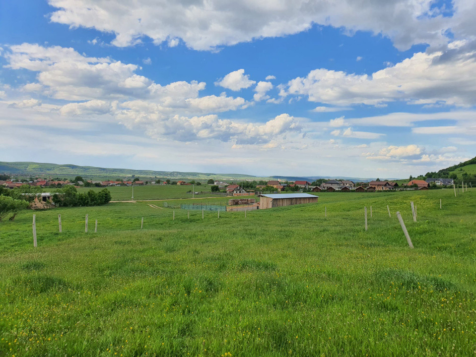 Teren cu peisaj spectaculos în Gura Râului – munte, aer curat, libertate