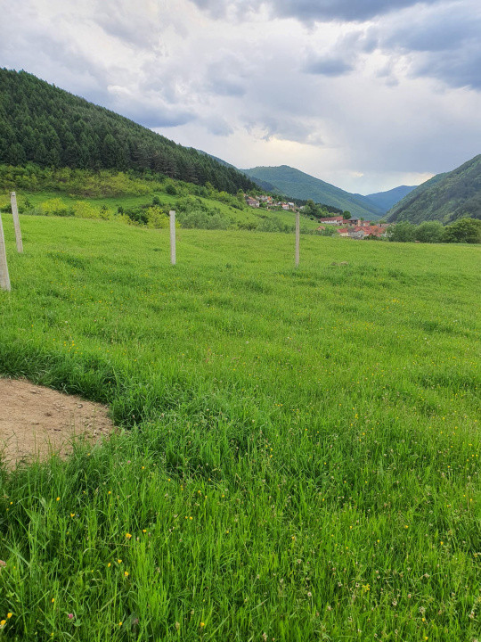 Teren cu peisaj spectaculos în Gura Râului – munte, aer curat, libertate