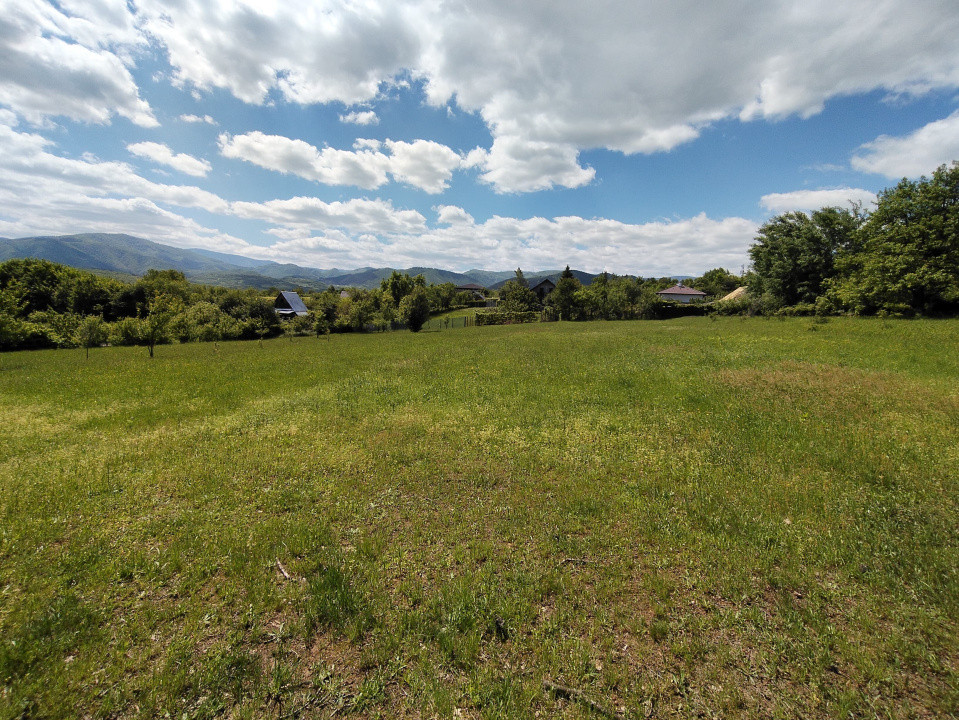 Teren de vanzare Tropinii Noi Intravilan