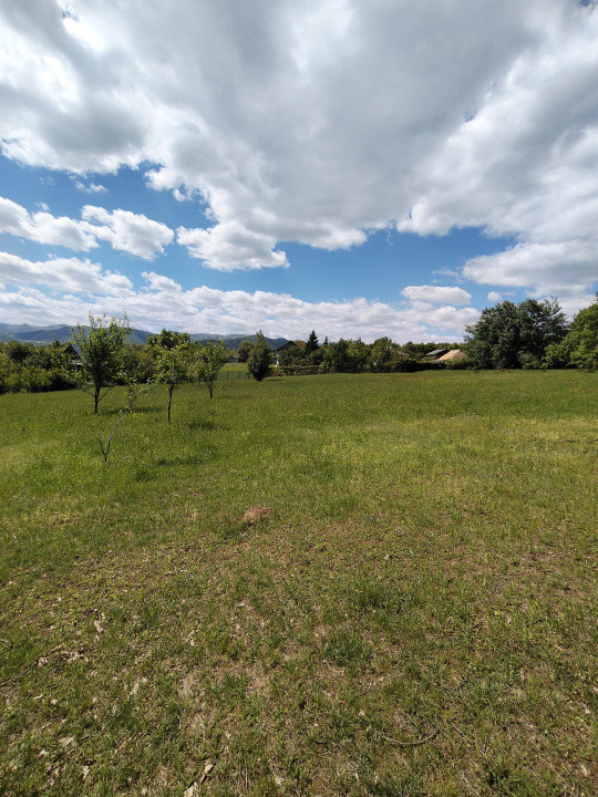 Teren de vanzare Tropinii Noi Intravilan