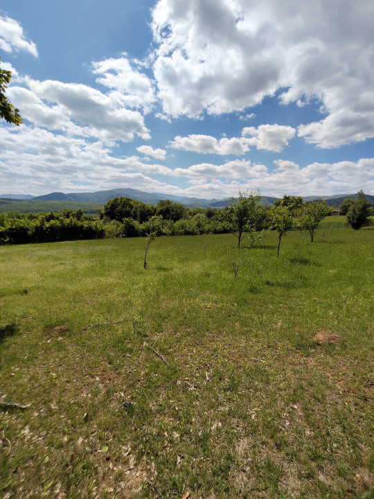 Teren de vanzare Tropinii Noi Intravilan