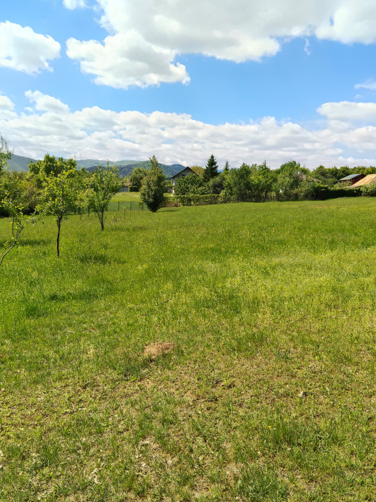 Teren de vanzare Tropinii Noi Intravilan