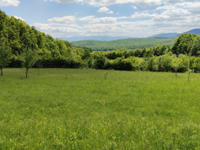 Teren de vanzare Tropinii Noi Intravilan