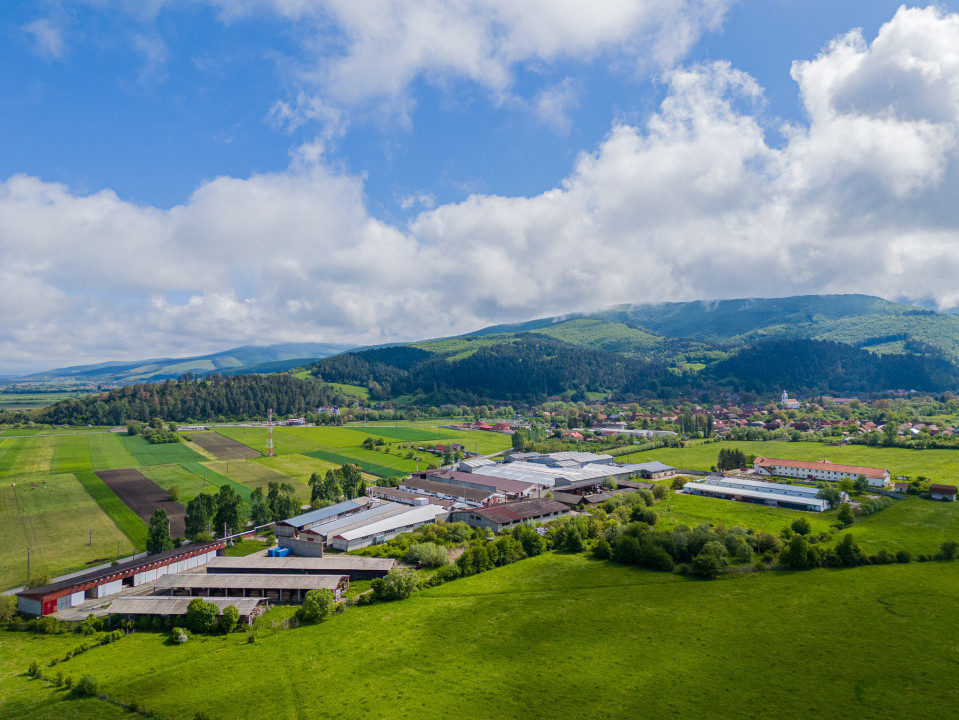 Parc hale industriale front stradal la DJ, 3,2 ha, Teliu, Brașov/Sfantu Gh. 