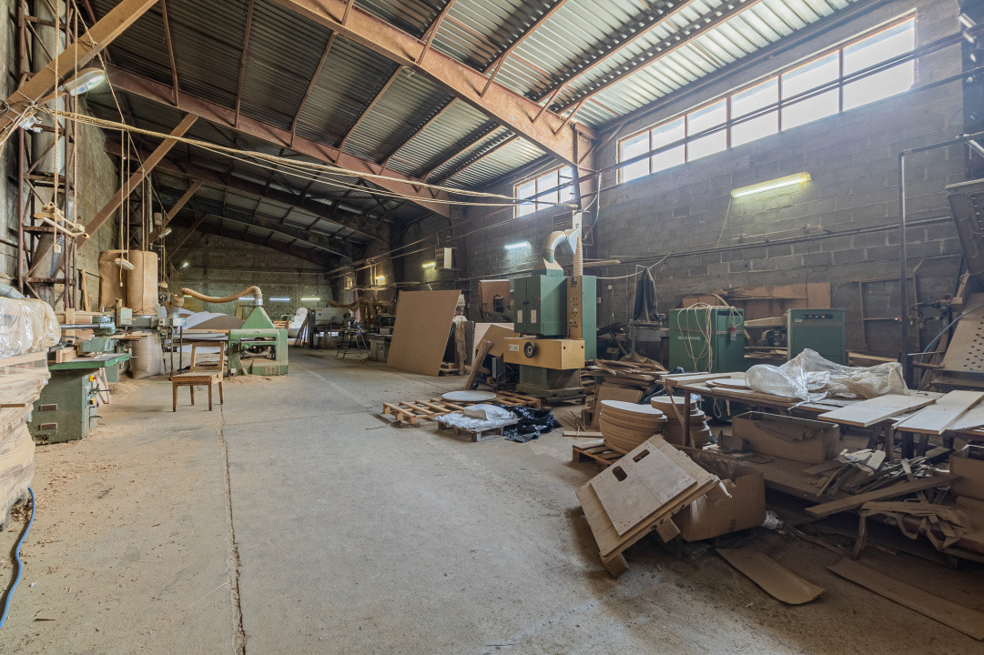 Parc hale industriale front stradal la DJ, 3,2 ha, Teliu, Brașov/Sfantu Gh. 