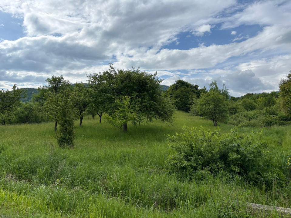 De vânzare teren extravilan – 3.223 mp, fâneață – Sibiel, acces din drum