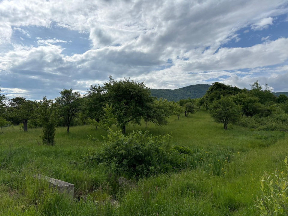 De vânzare teren extravilan – 3.223 mp, fâneață – Sibiel, acces din drum