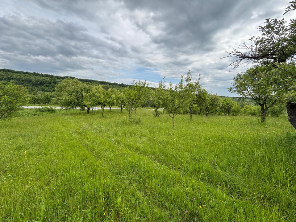 De vânzare teren extravilan – 3.223 mp, fâneață – Sibiel, acces din drum
