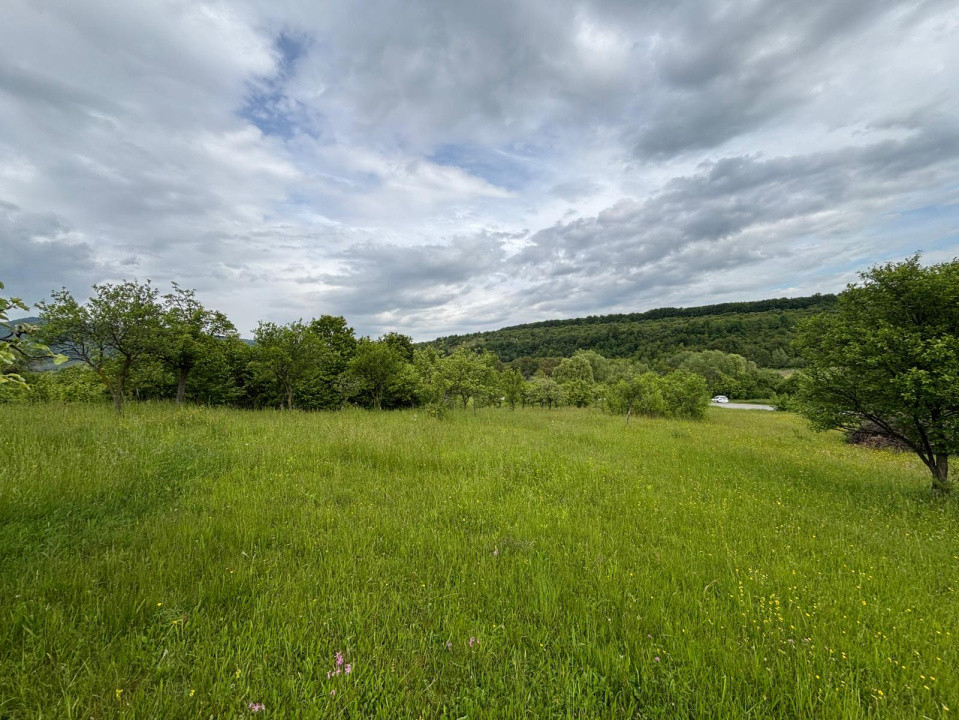 De vânzare teren extravilan – 3.223 mp, fâneață – Sibiel, acces din drum