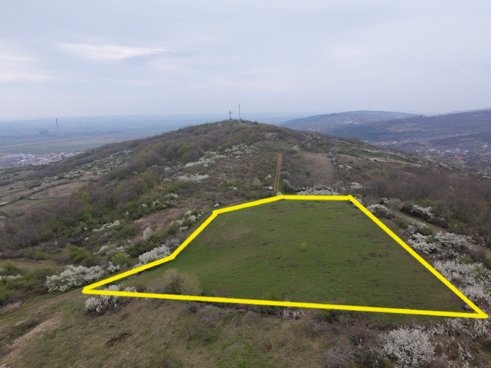 Teren de Vânzare – 10.042 mp, Tomesti