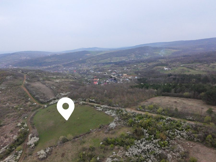 Teren de Vânzare – 10.042 mp, Tomesti