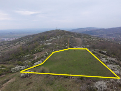 Teren de Vânzare – 10.042 mp, Tomesti