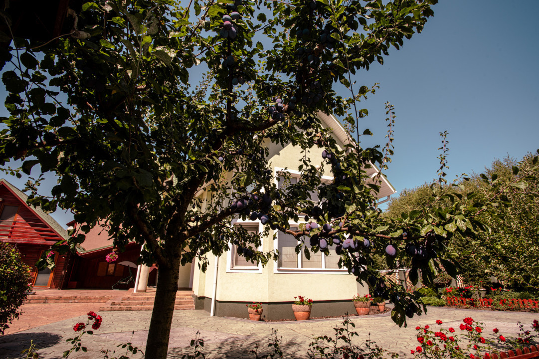 Vila cu piscina și casa de oaspeți  în Unirii, Târgul Mureș