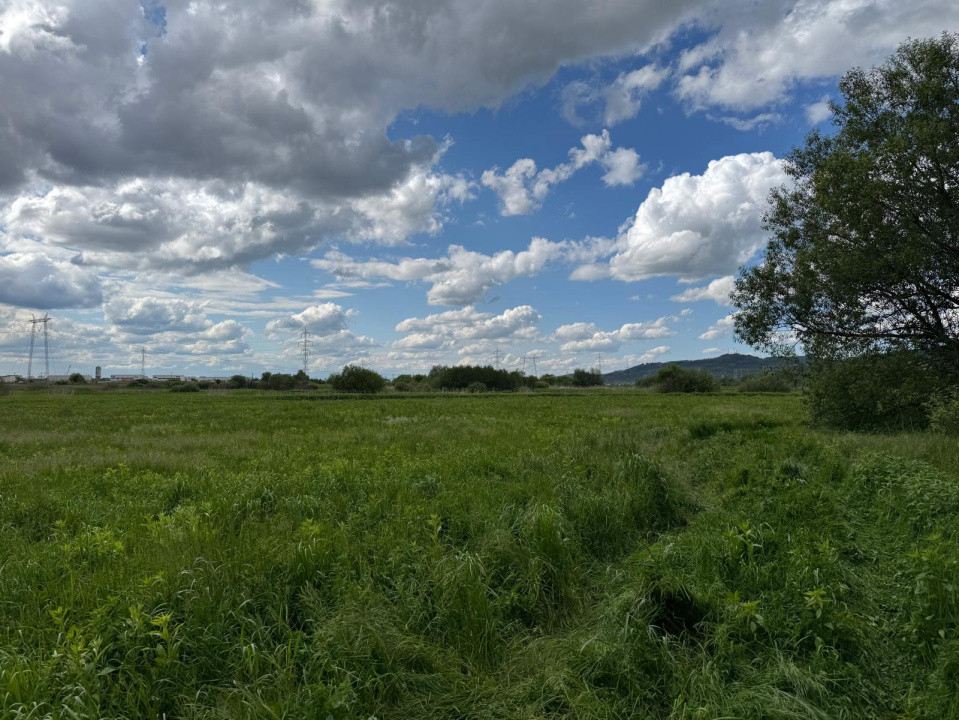 Teren extravilan arabil de vânzare – Bungard, Șelimbăr