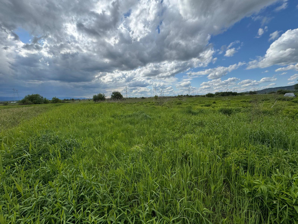 Teren extravilan arabil de vânzare – Bungard, Șelimbăr