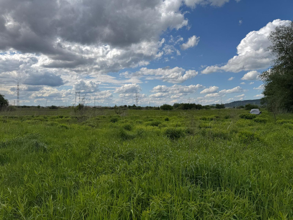 Teren extravilan arabil de vânzare – Bungard, Șelimbăr