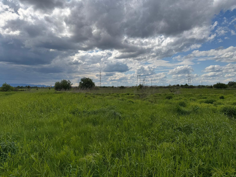 Teren extravilan arabil de vânzare – Bungard, Șelimbăr