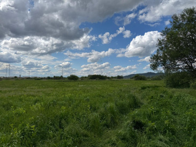 Teren extravilan arabil de vânzare – Bungard, Șelimbăr