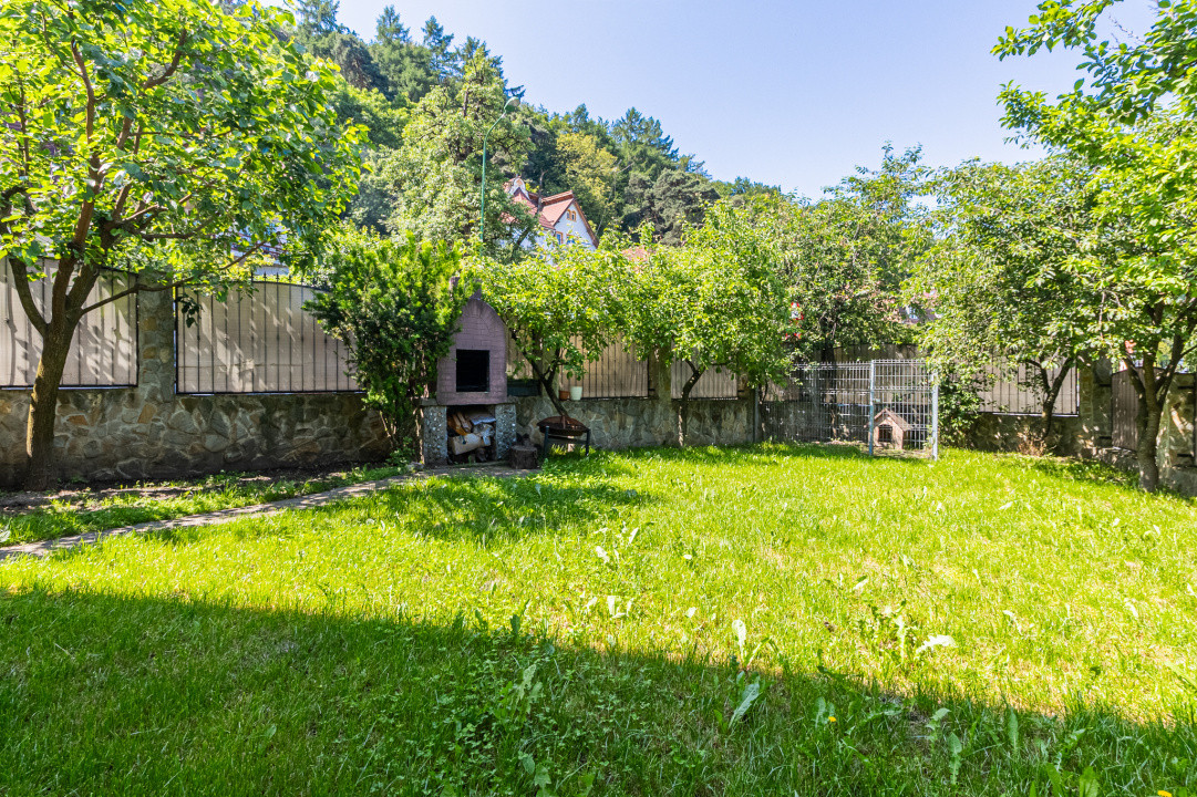 Casa cu priveliste la padure, singur in  curte