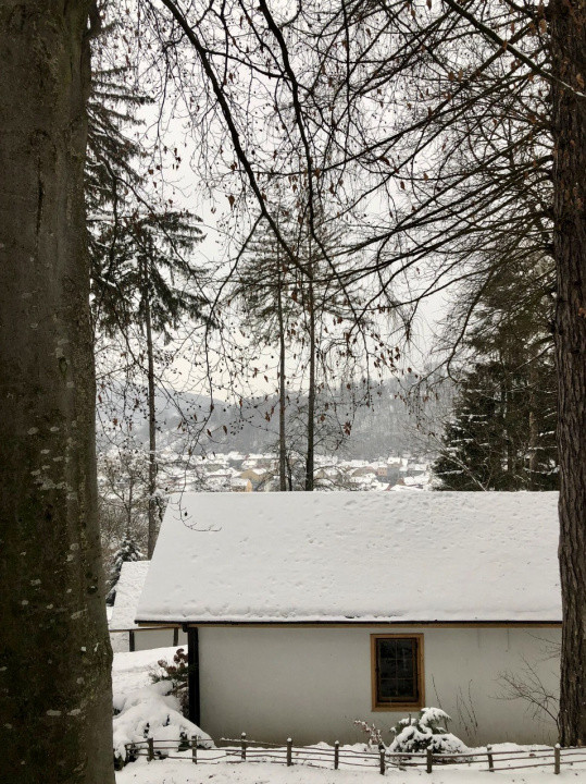 Sanctuar exclusiv multifuncțional în Sighișoara, MS
